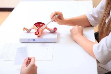 Лабиопластика